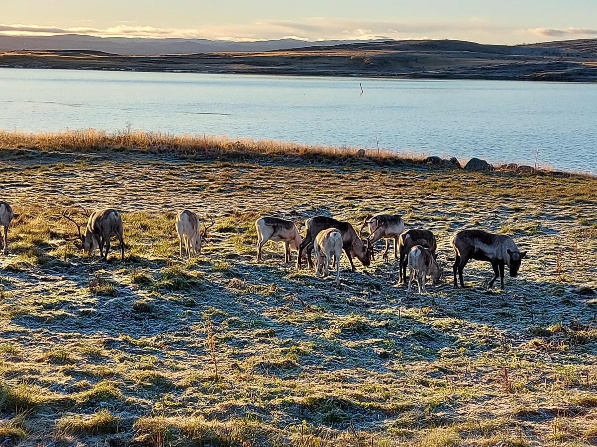 Austertanakrystallen By Pure Lifestyle Arctic Exteriér fotografie