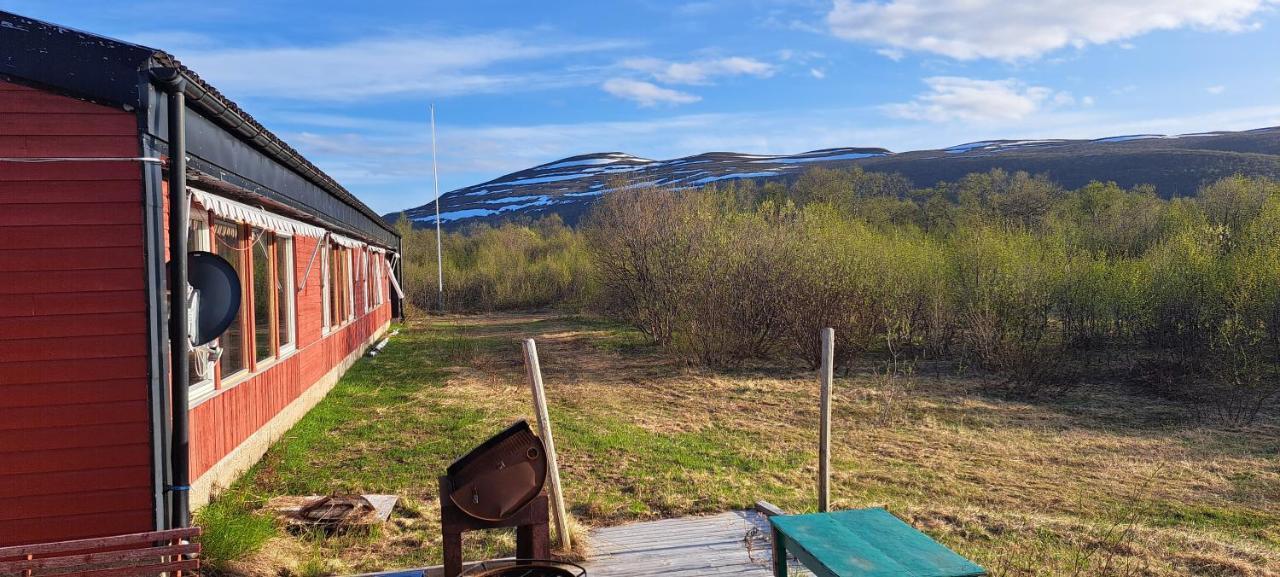 Austertanakrystallen By Pure Lifestyle Arctic Exteriér fotografie