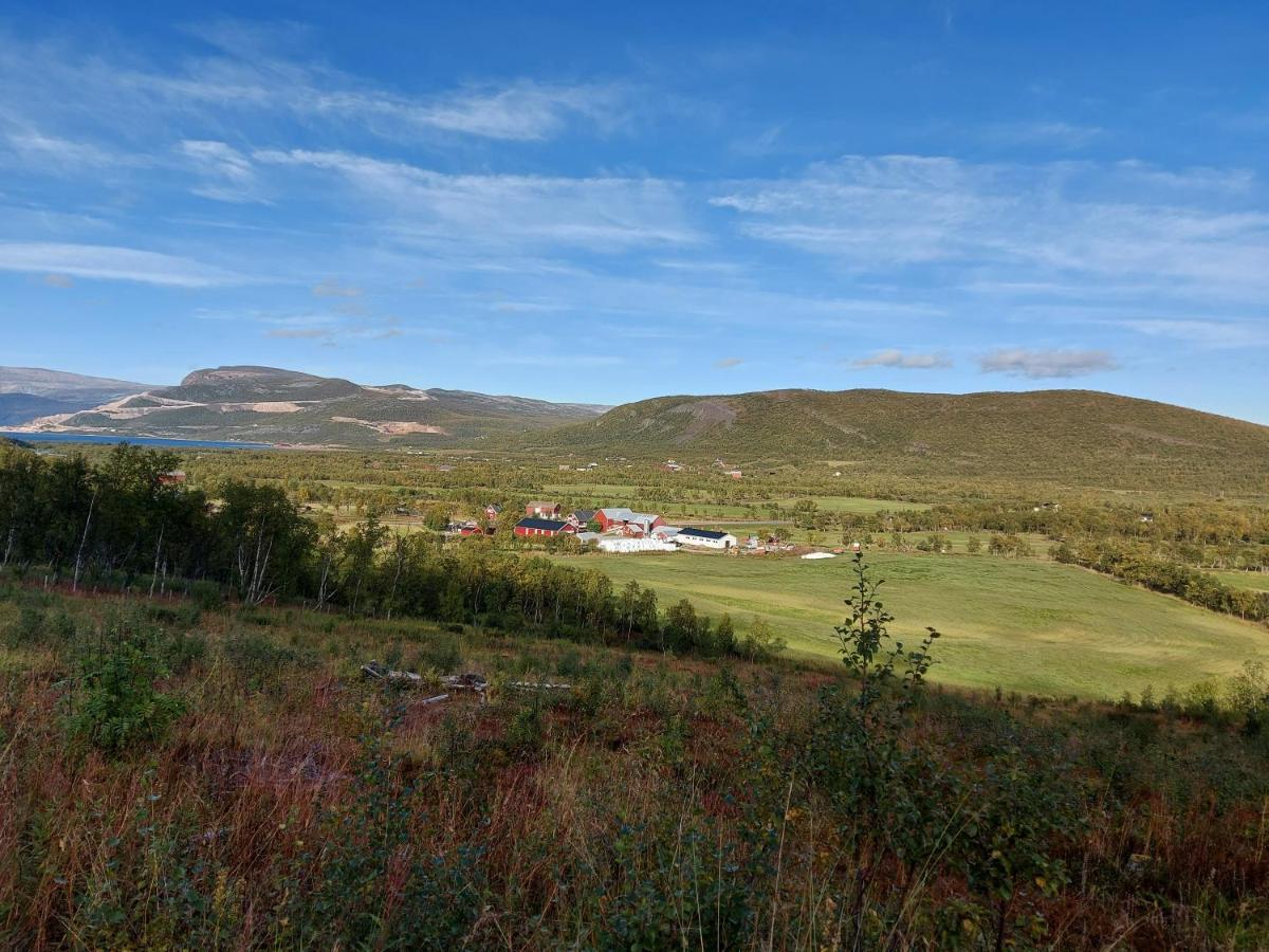 Austertanakrystallen By Pure Lifestyle Arctic Exteriér fotografie